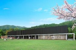 �S�R���C�i���[