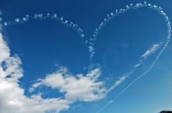 �����񍐎ʐ^